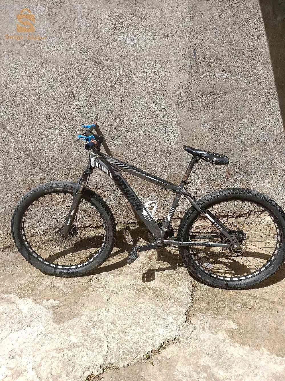 DTWINN