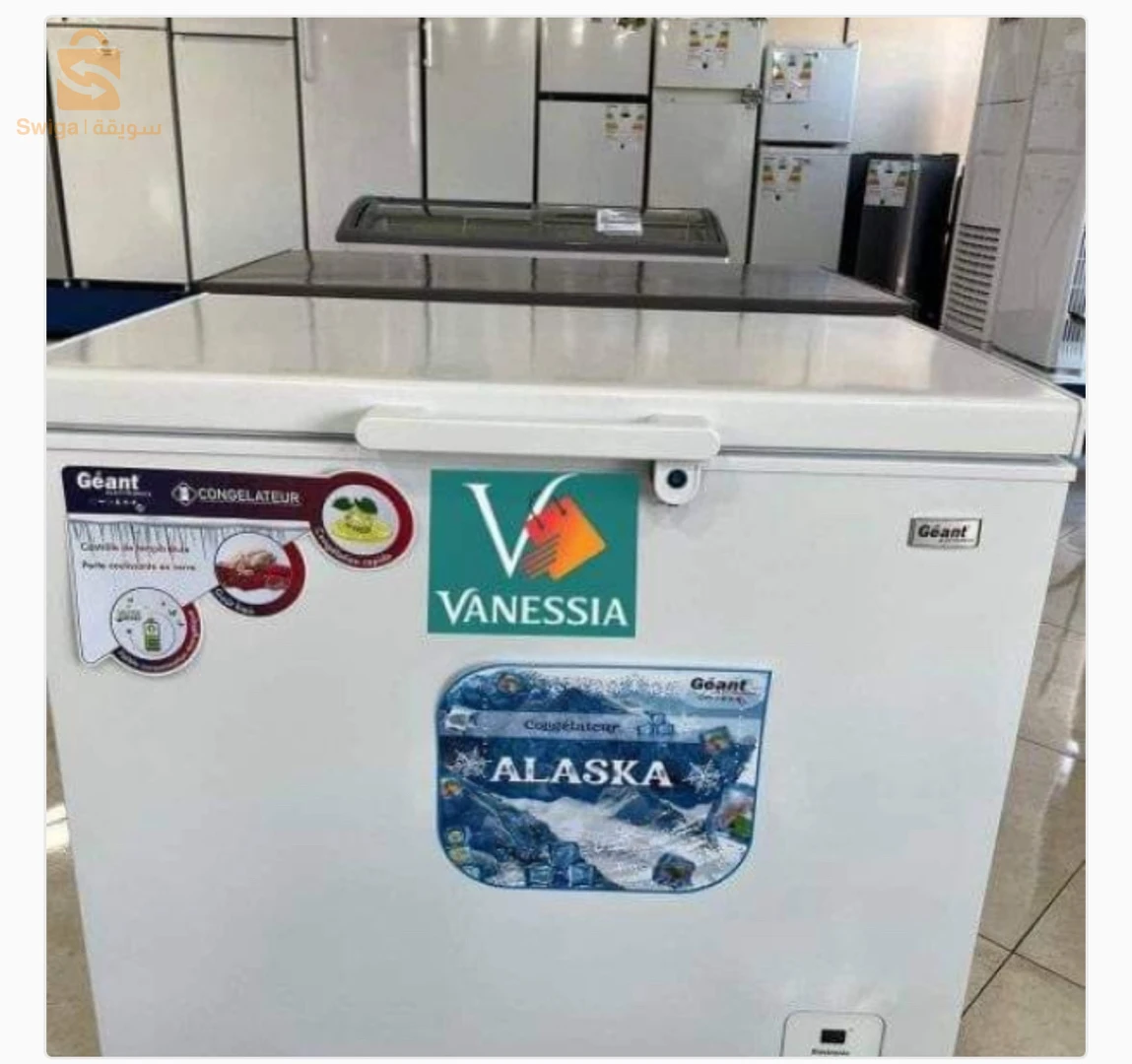 Congélateur marque géant 260L couleur blanc