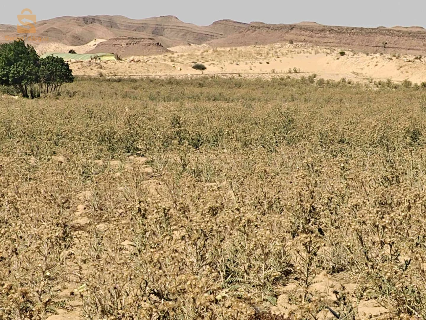 بيع أرض فلاحية في منطقة الحرياشات