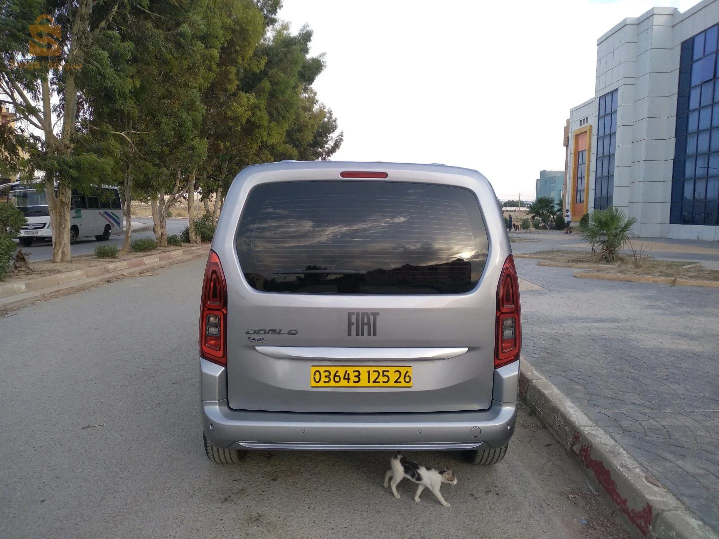 Fiat Doblo 2025 MEDEA
