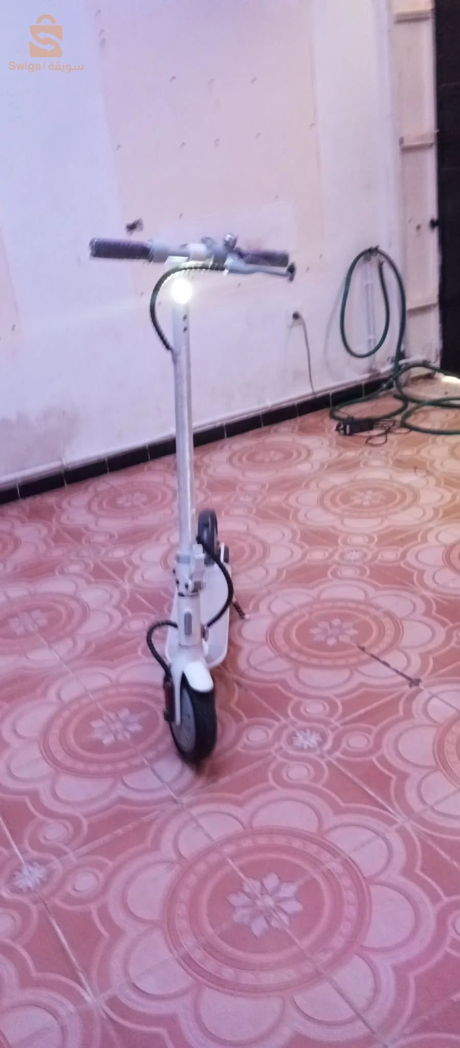 سكوتى جزائري
