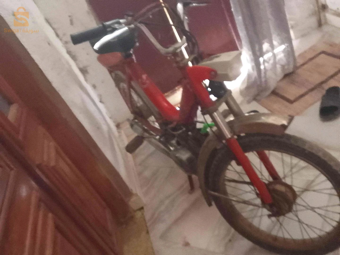 موطو قالمة