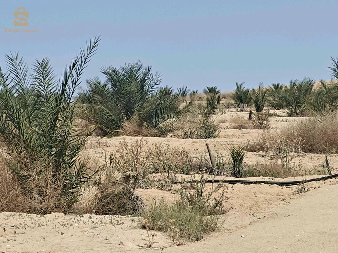 بيع أرض فلاحية في منطقة الحرياشات