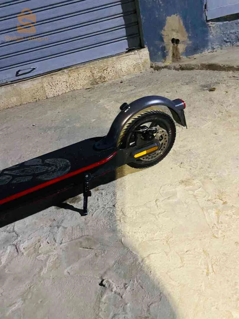 سكوتر