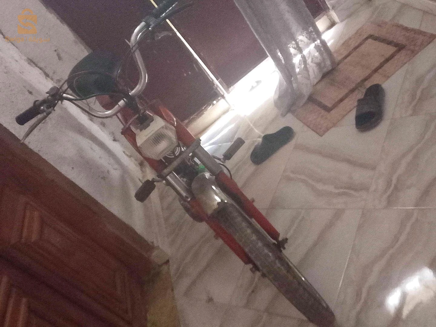 موطو قالمة