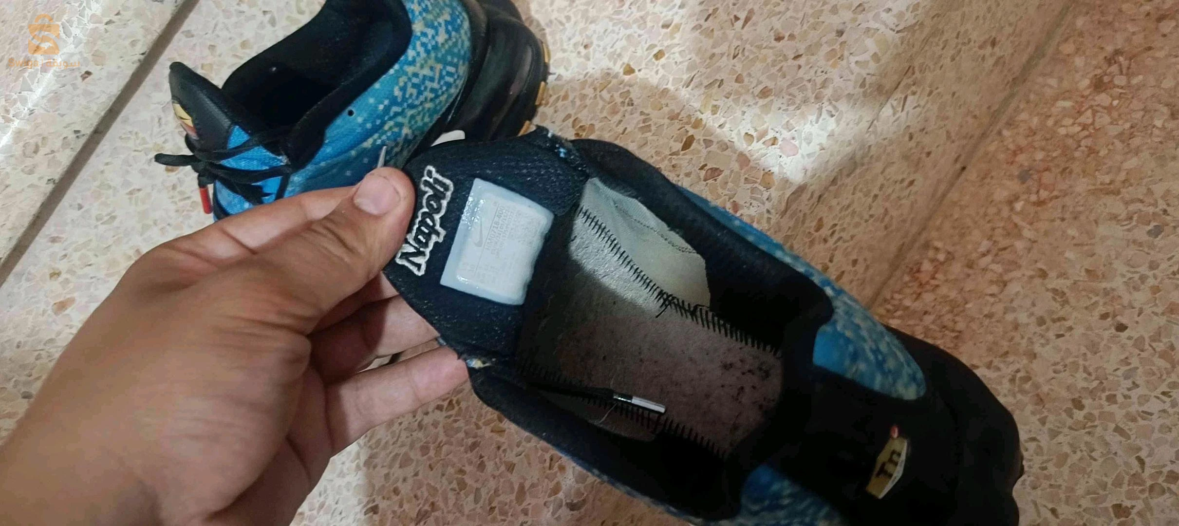 اريني نابولي اوربجينال بوانتير 44 نقية للبيع