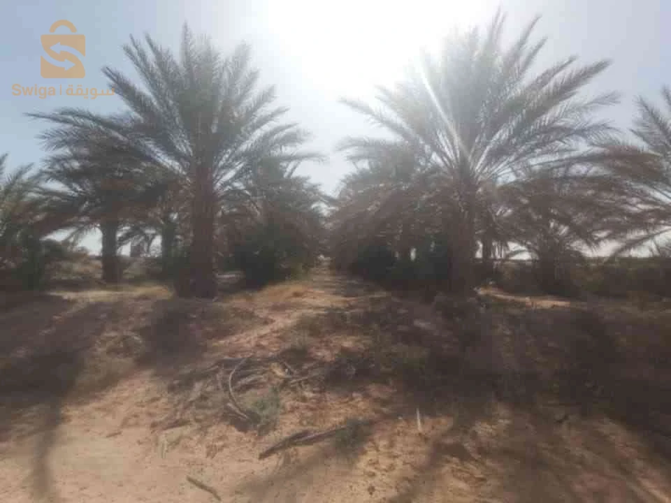 جنان للبيع