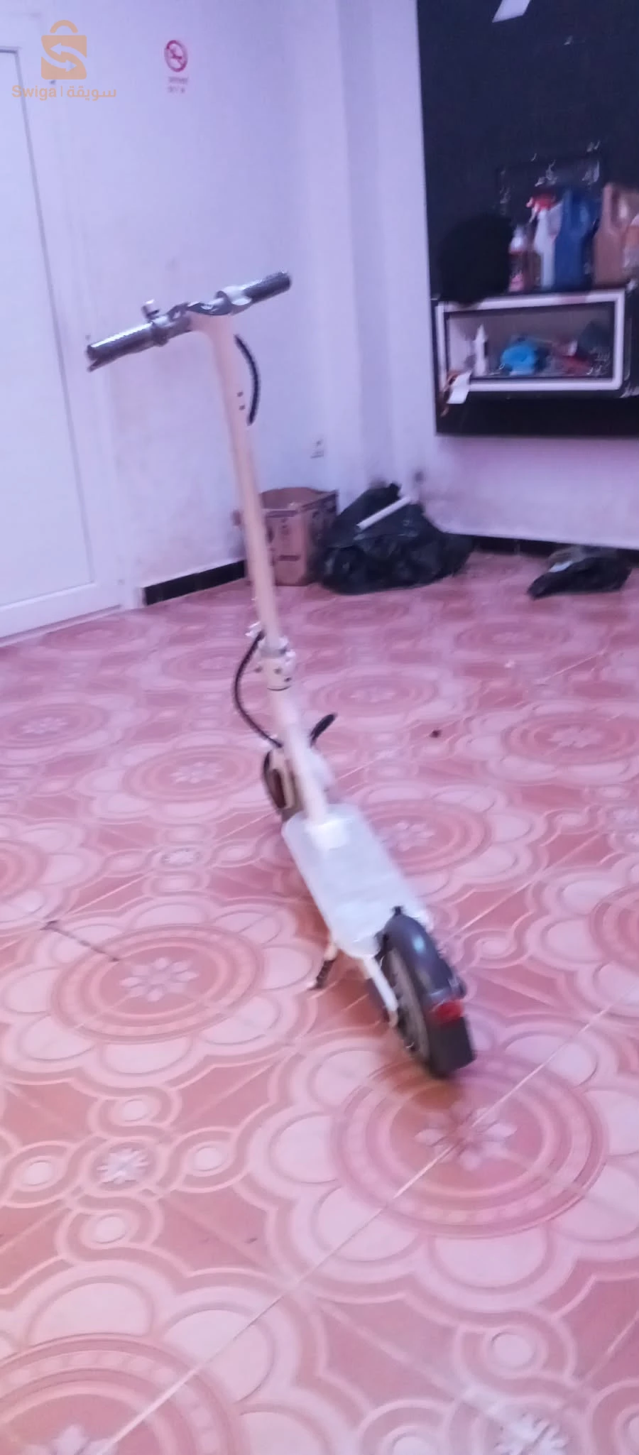 سكوتى جزائري