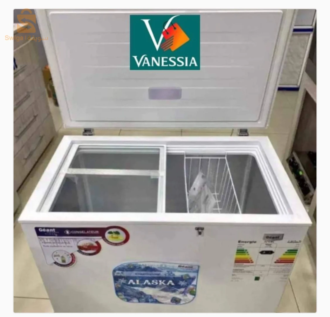 Congélateur marque géant 260L couleur blanc