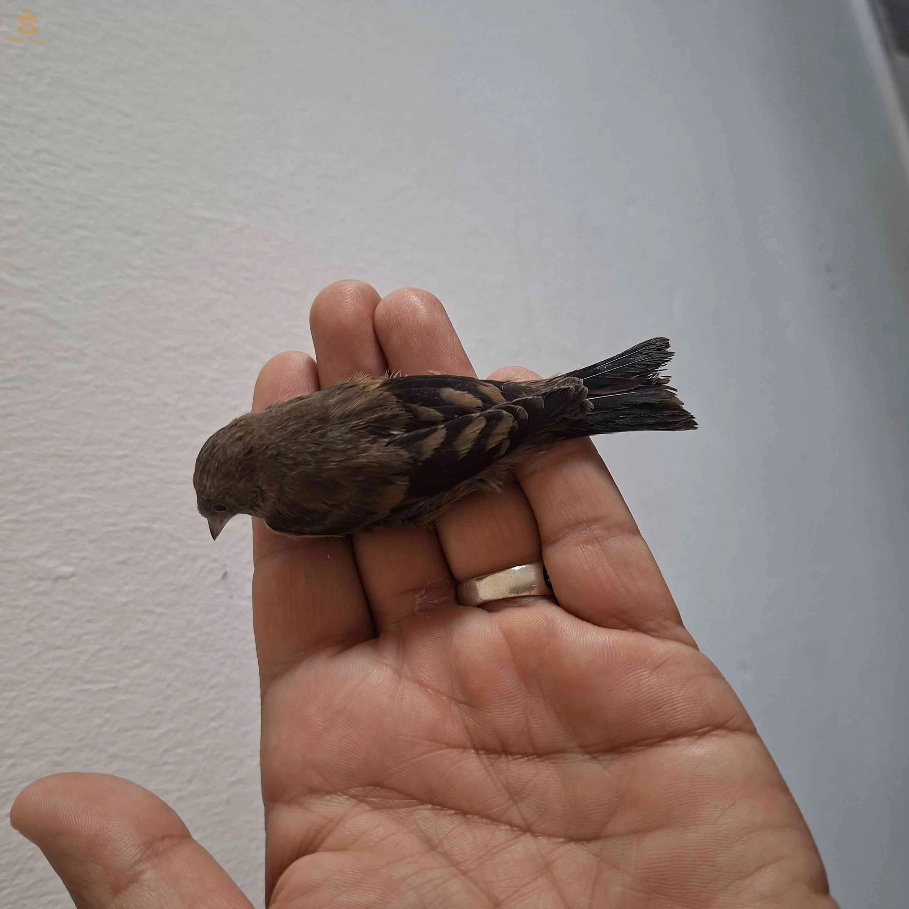 بعض الطفرات حاجة ماشاء الله