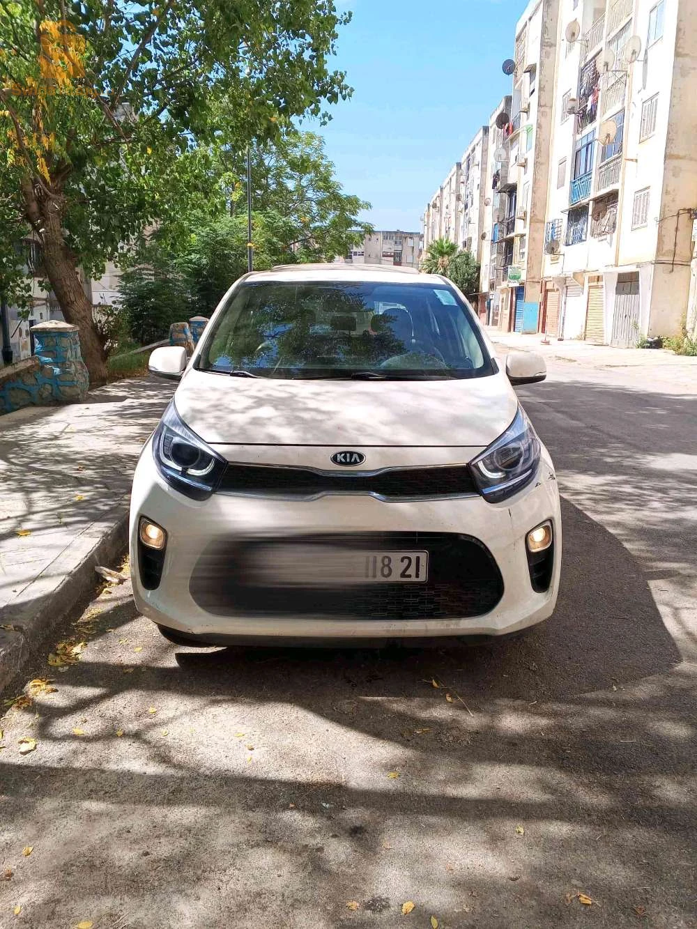 Kia Picanto 2018 SKIKDA