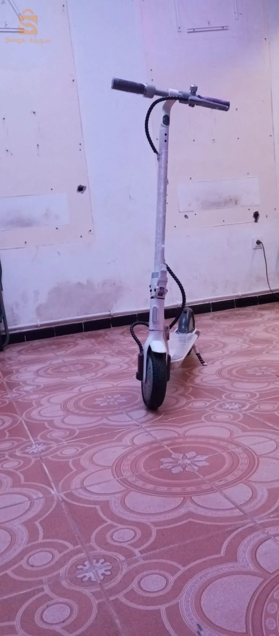 سكوتى جزائري