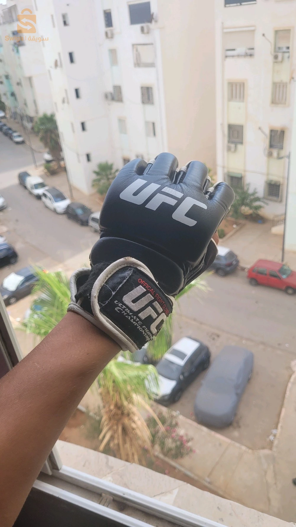 ليقو و بروتاج تيبيا