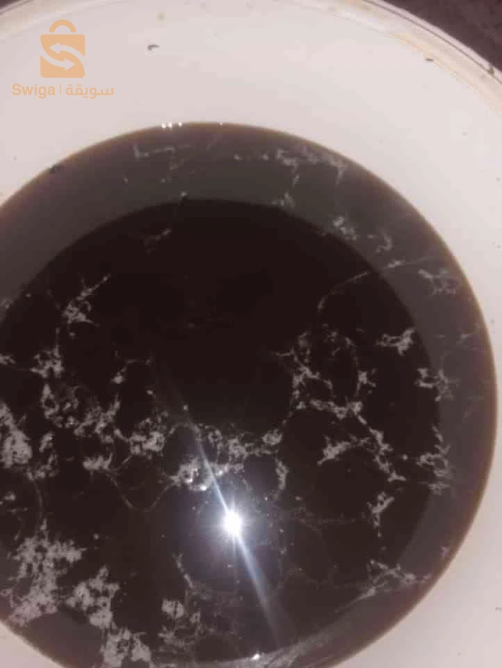 عسل جبلي من خلايا تقليدية برية