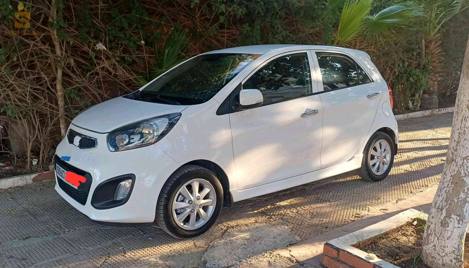 كيا Picanto 2014 الطارف