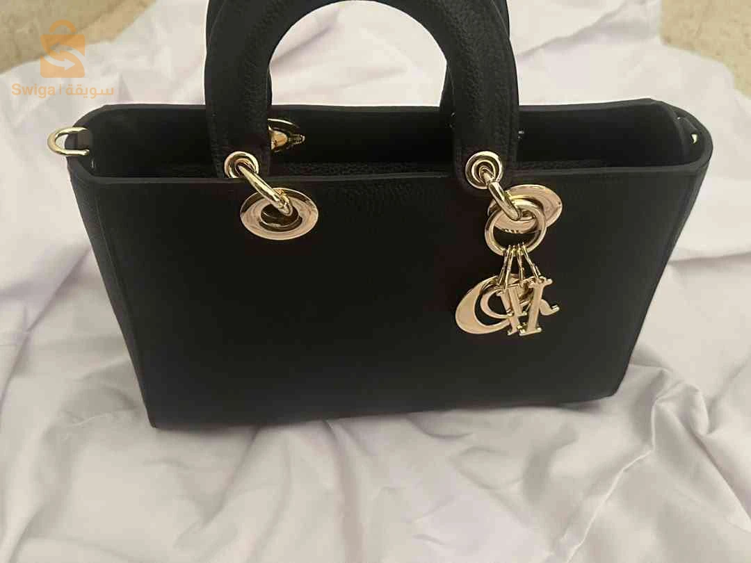 sac dior