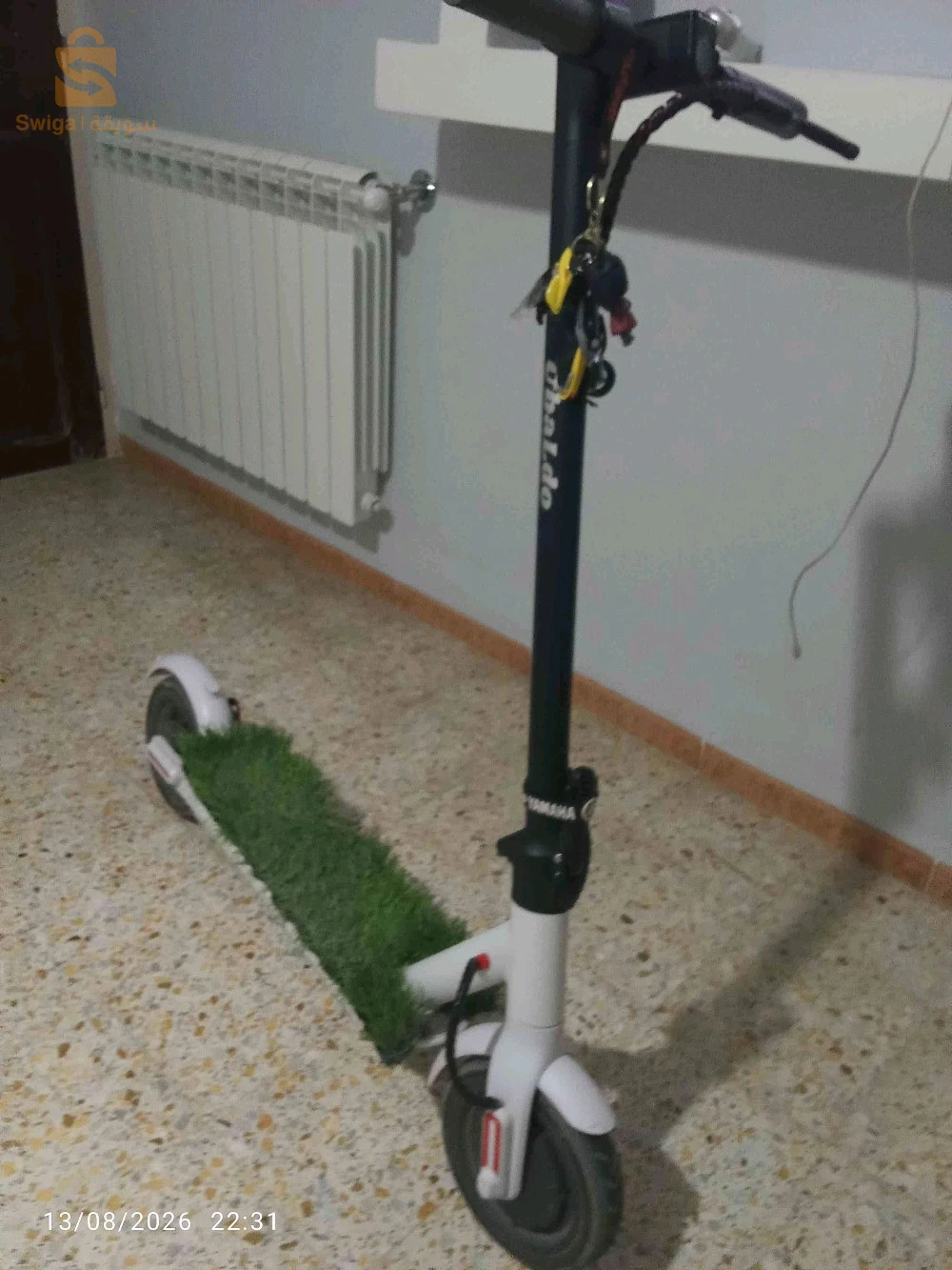 تروتينات للبيع
