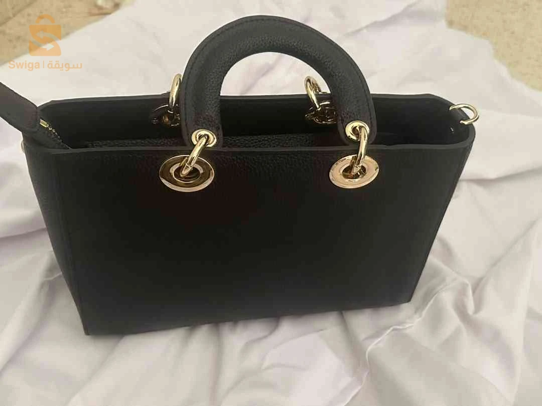 sac dior