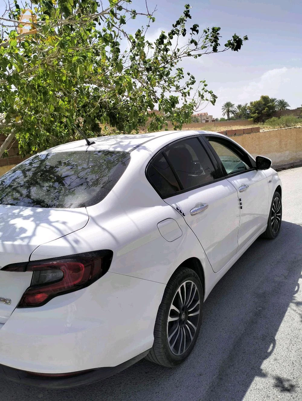 فيات Tipo Sedan 2023 بسكرة