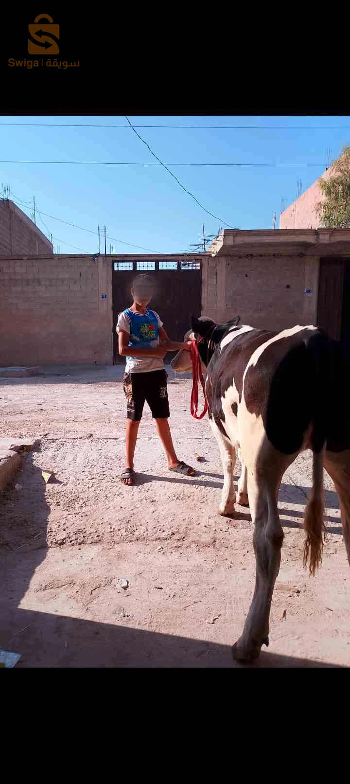 مطلوب