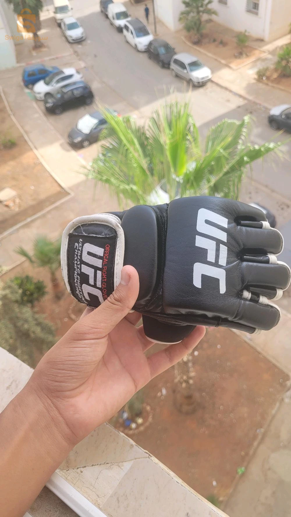 ليقو و بروتاج تيبيا
