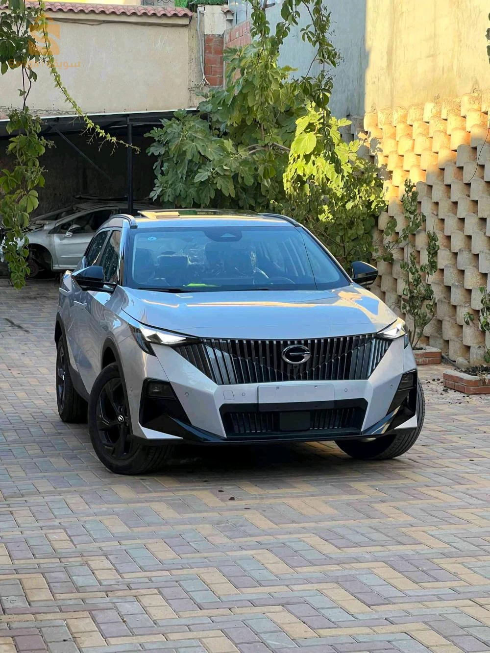 جاك 2026 الجزائر