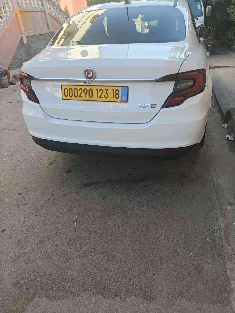 فيات 2023 جيجل
