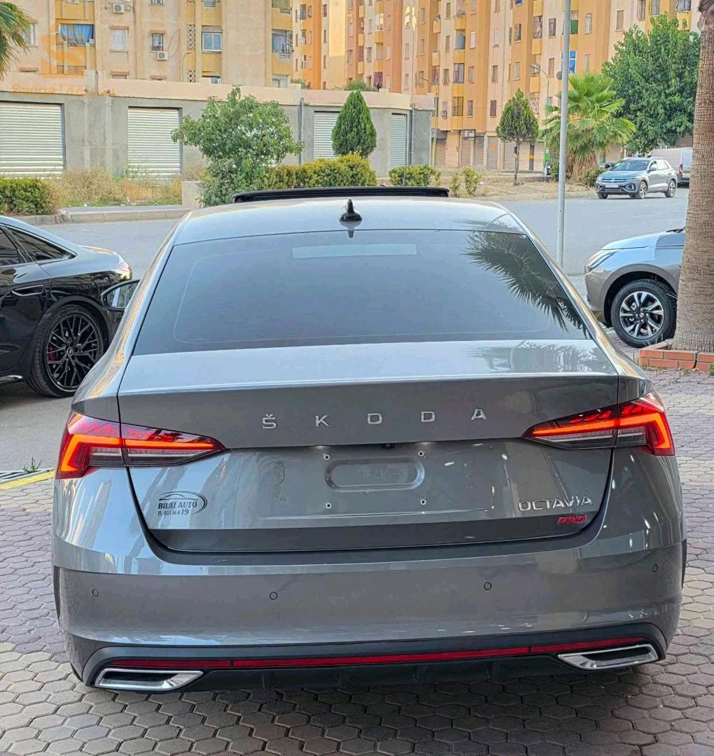 Skoda Octavia 2025 SETIF