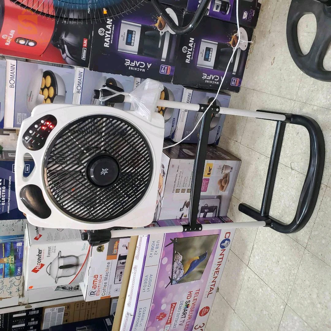 Ventilateur 12" Panda Carré + support pied +télécommande