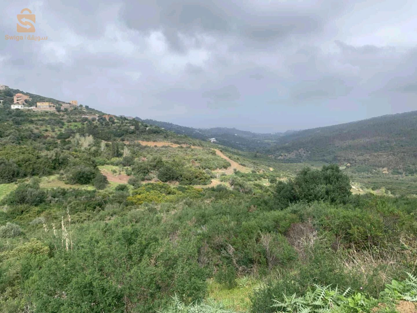 terrain à vendre a azeffoun