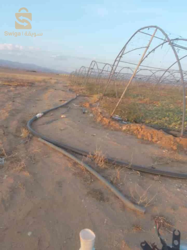 ارض بقرية قرطة بلدية سيدي عقبة