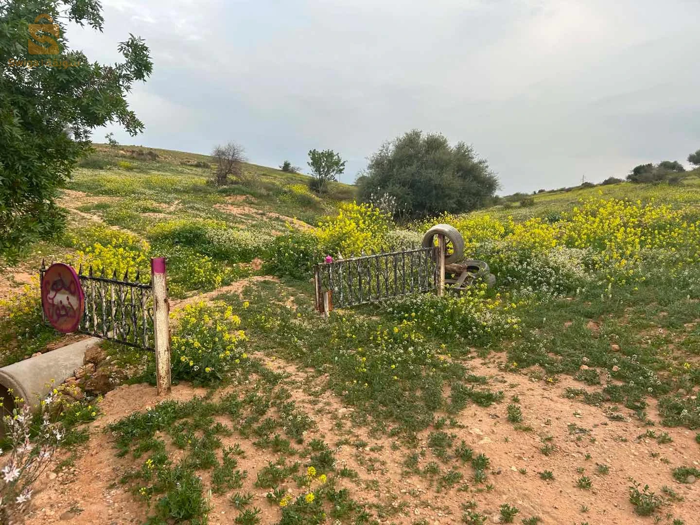 terrain agricole