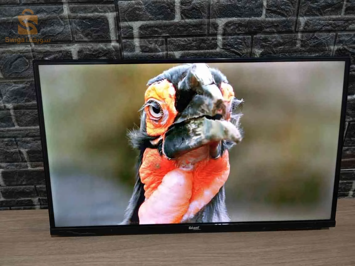 Téléviseur géant 32 Pouces simple
✅ Garantie 5 ans
✅slim design
✅Frameless
✅ Avec démo intégré 
✅ Qled TV
✅ USB
✅2 port HDMI
✅ Ecomenisateur d'énergie
