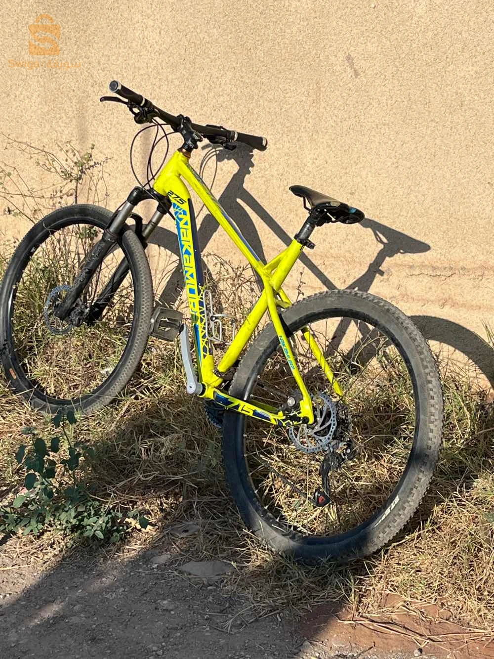 velo nakamora