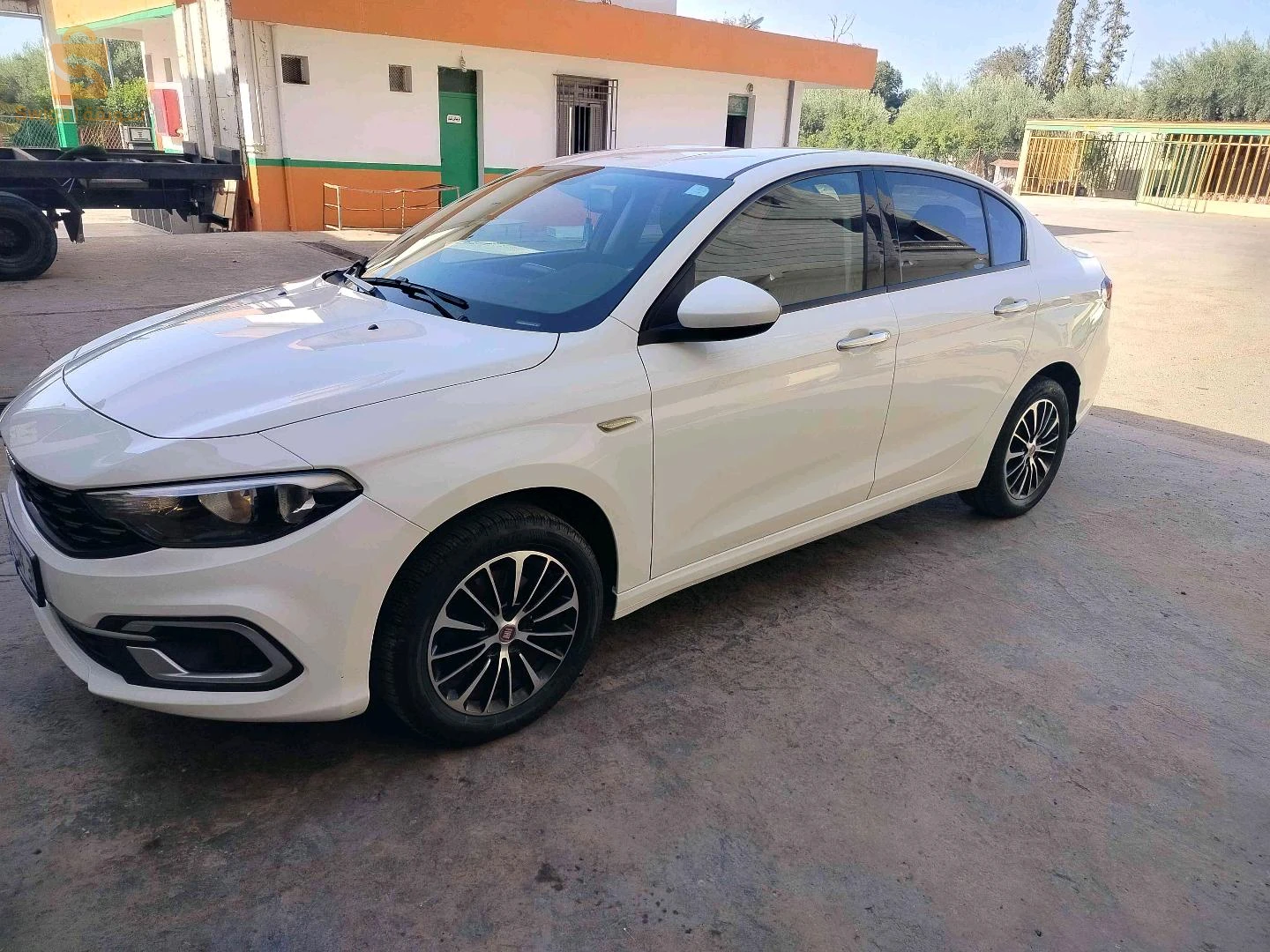 Fiat Tipo Sedan 2024 ORAN