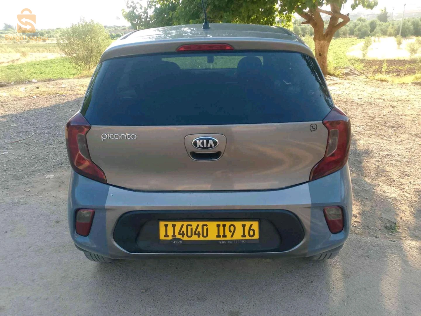 Kia Picanto 2019 ALGER