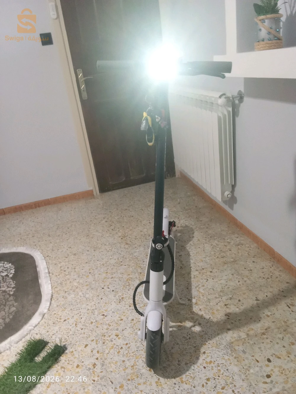 تروتينات للبيع