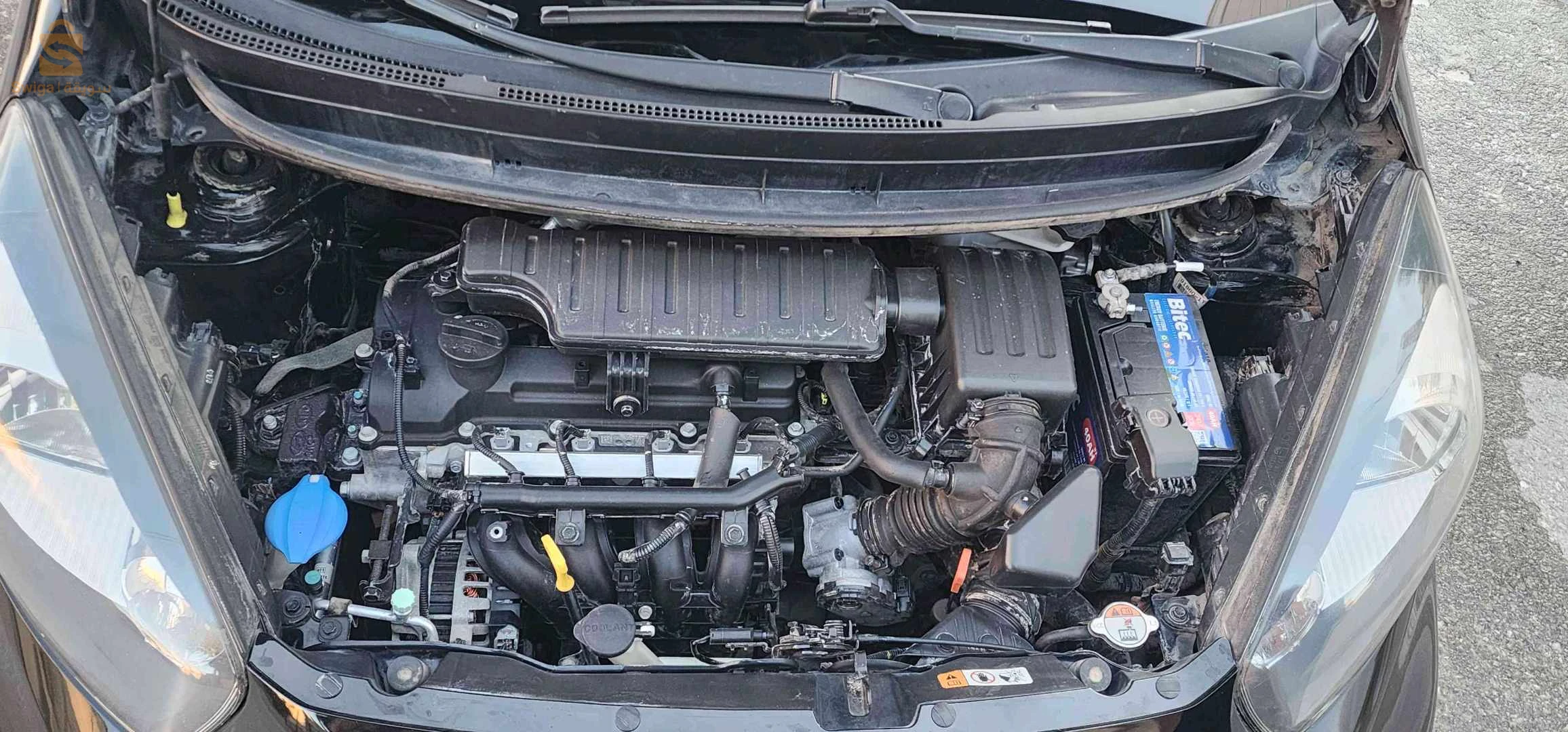 Kia Picanto 2016 SETIF