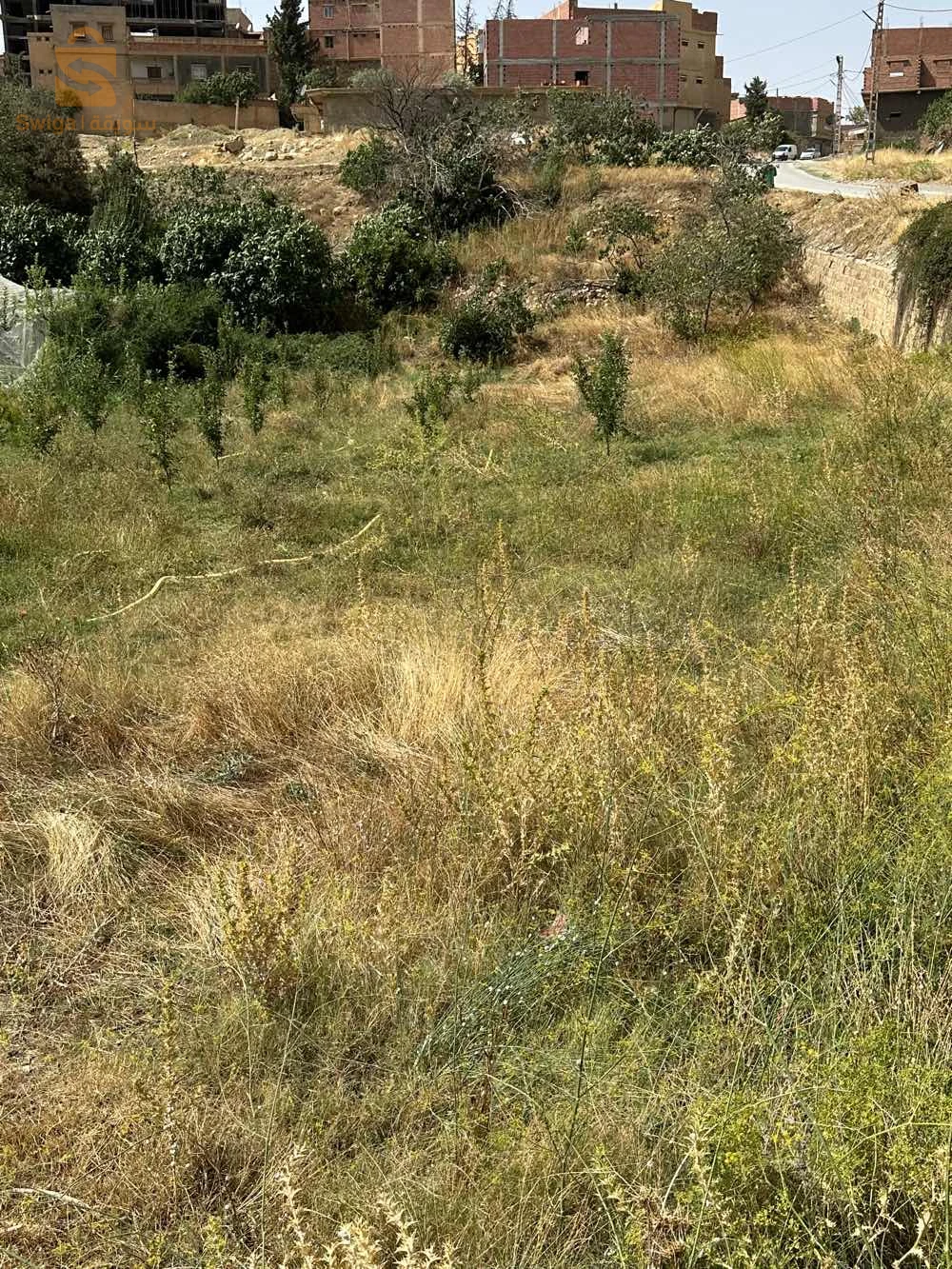 قطعة أرض صالحة للبناء