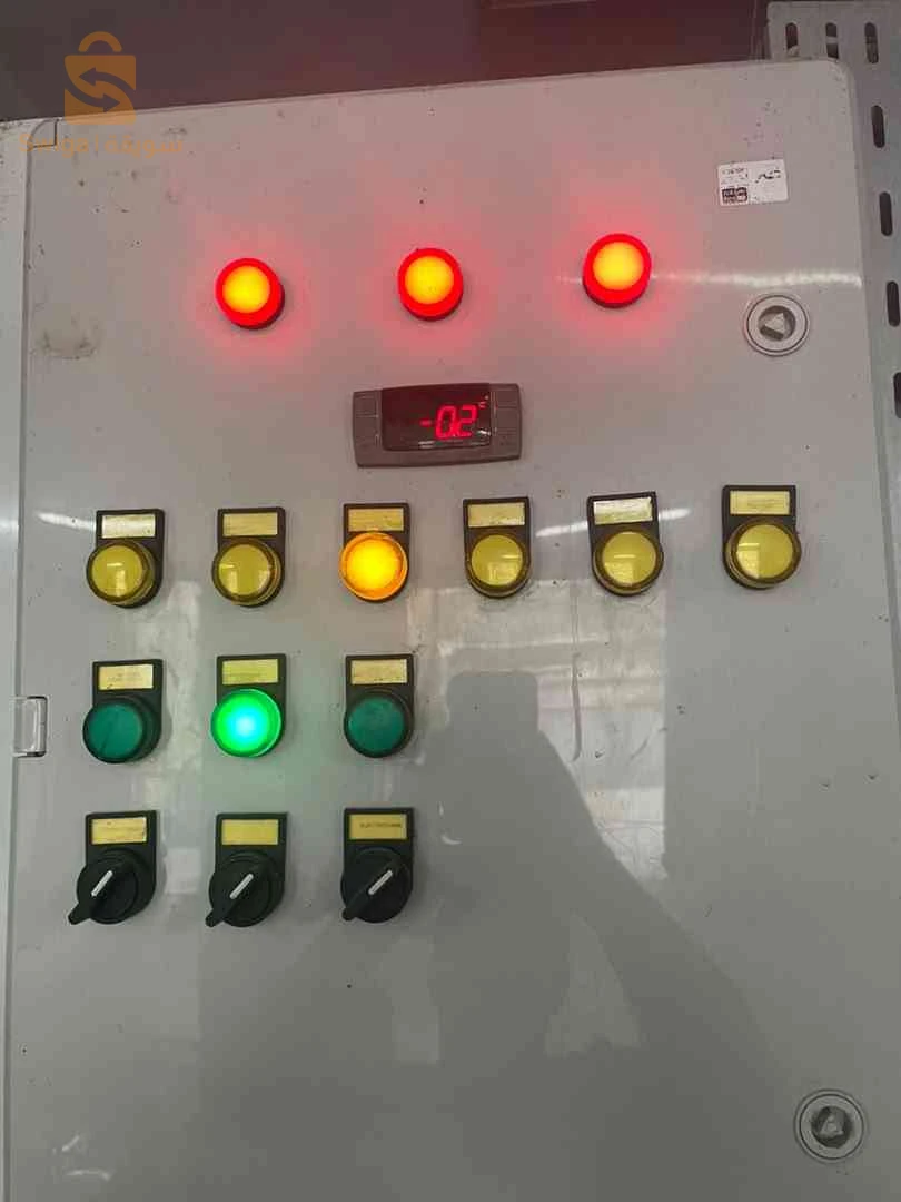 ورشة تقشير البطاطا كاملة