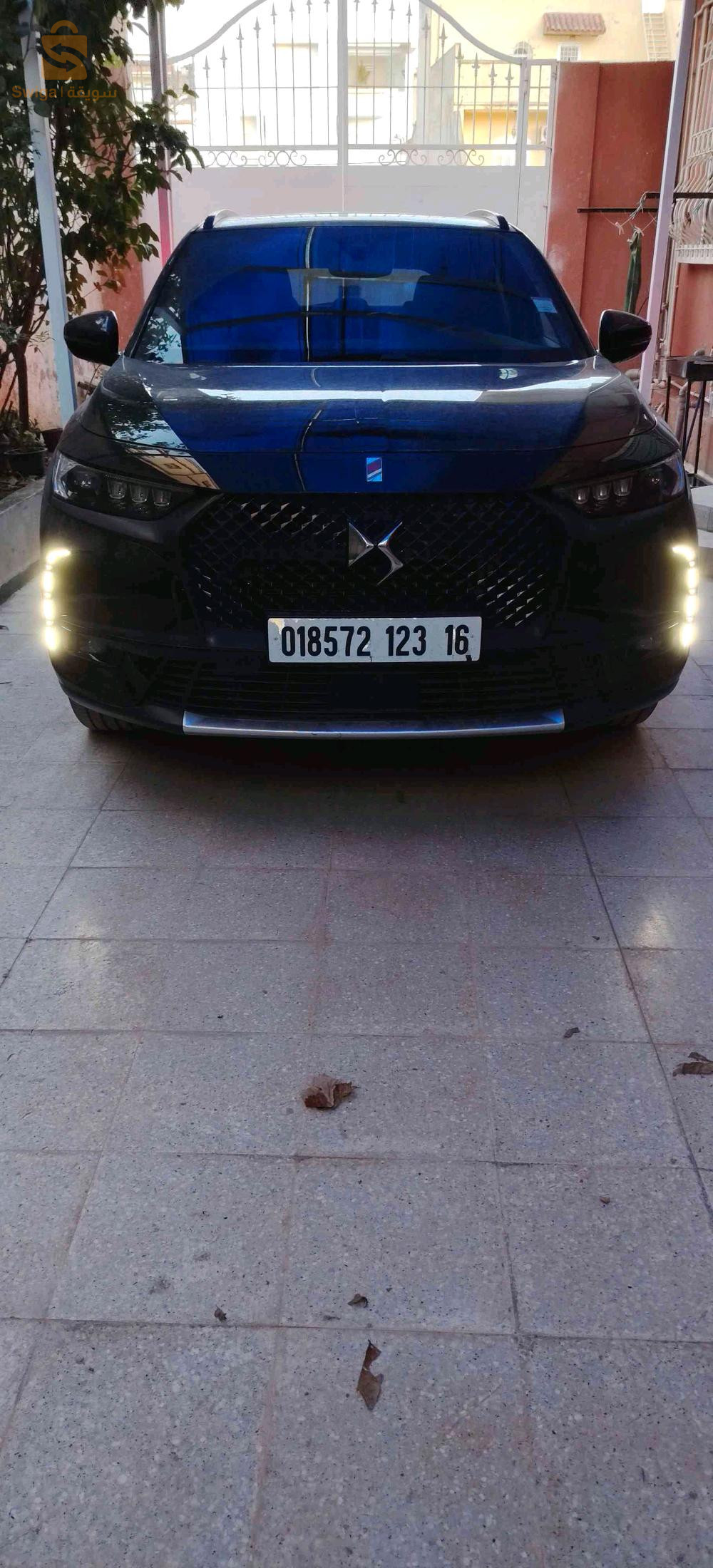 ستروين DS 2023 قسنطينة