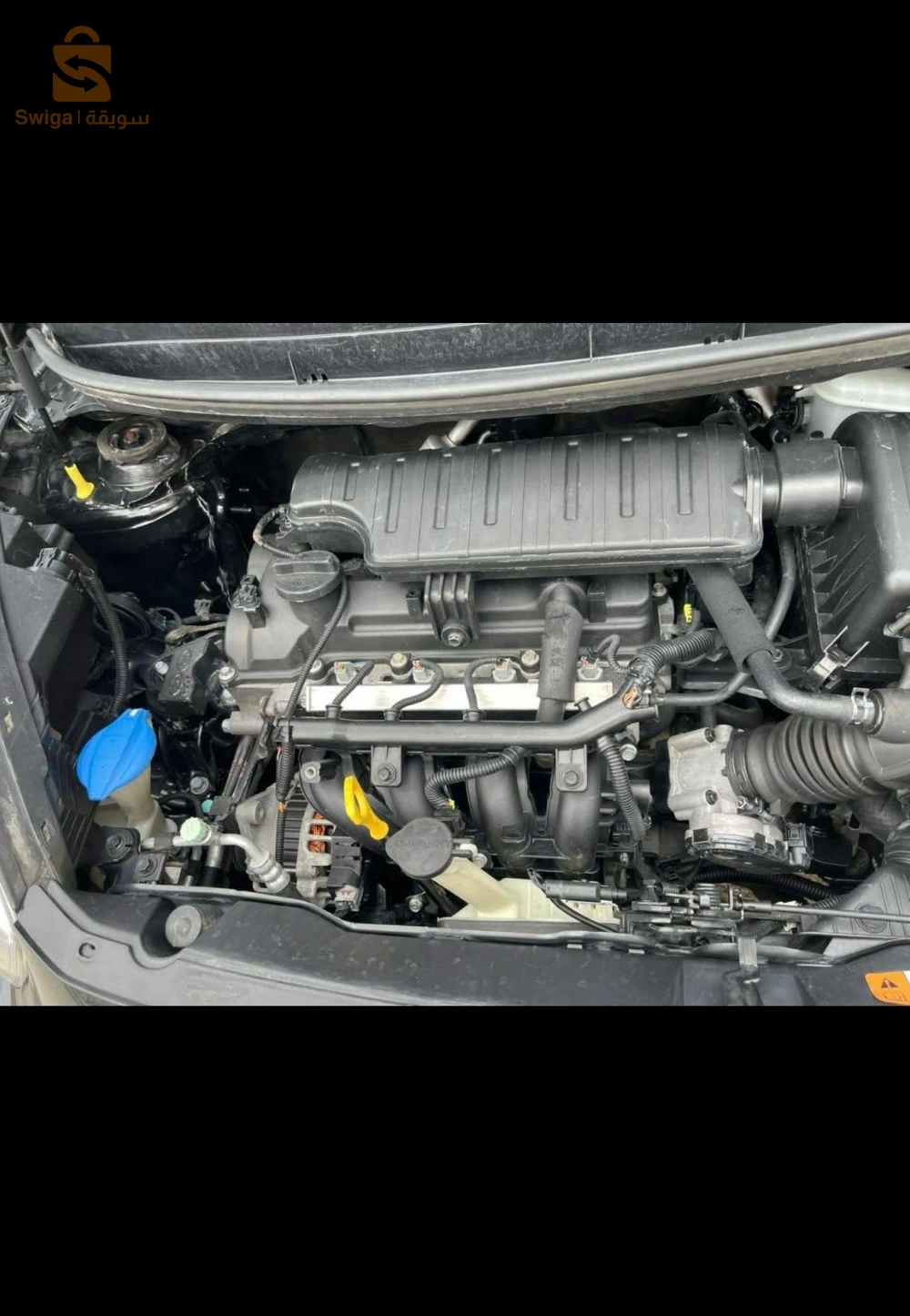 كيا Picanto بسكرة