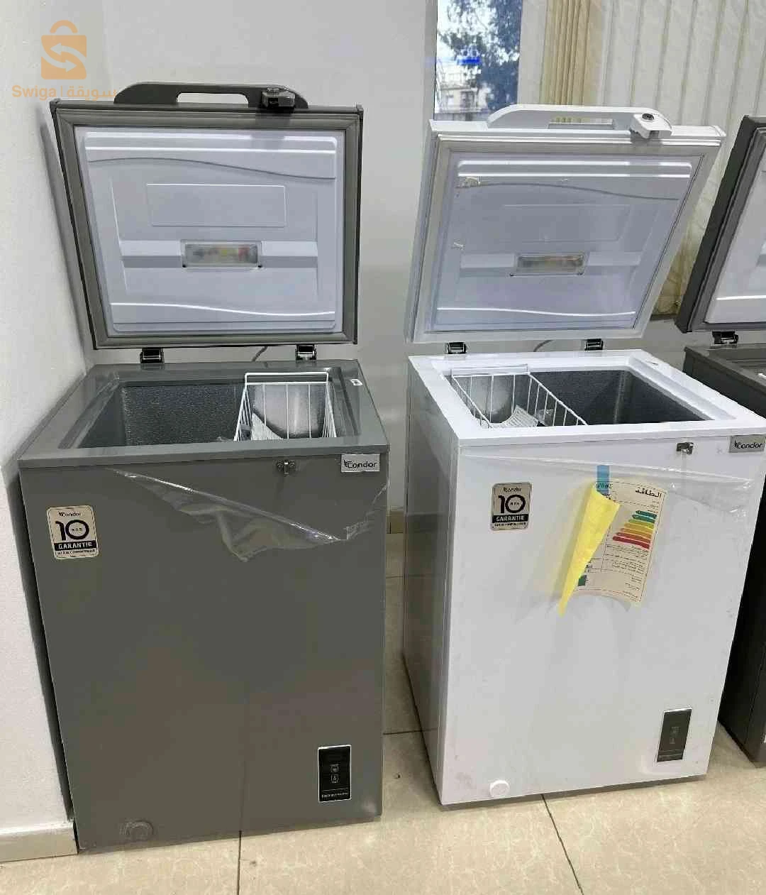 كونجيلاتور