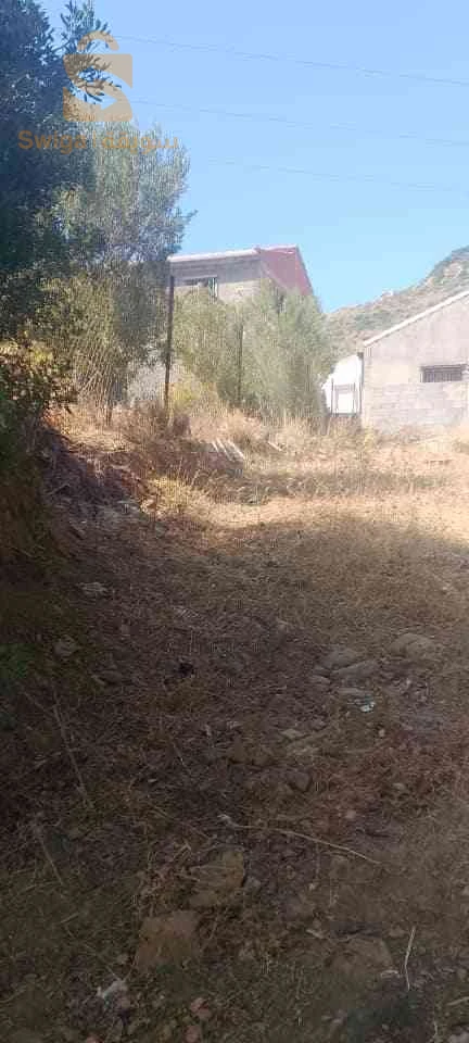 terrain à vendre à azzfoune Ijanathan