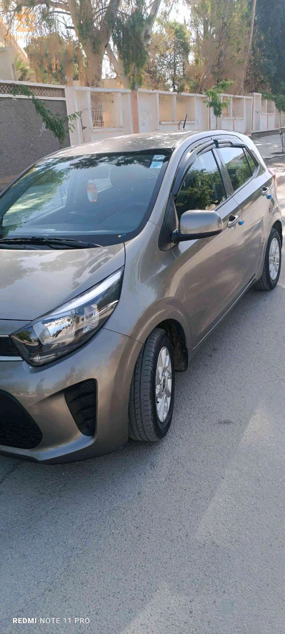 Kia Picanto 2019 BATNA