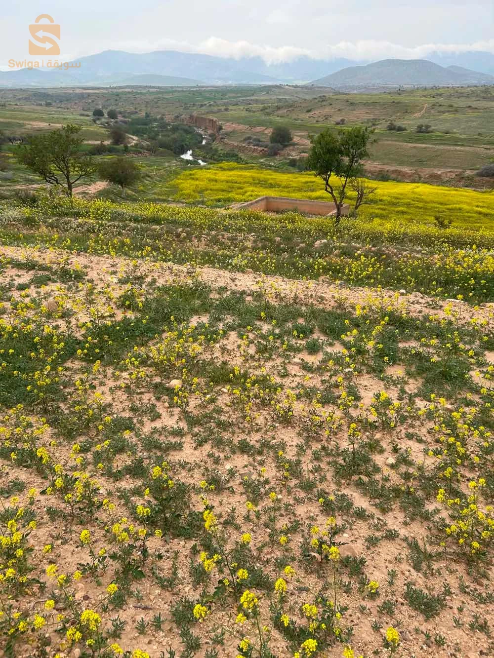 terrain agricole