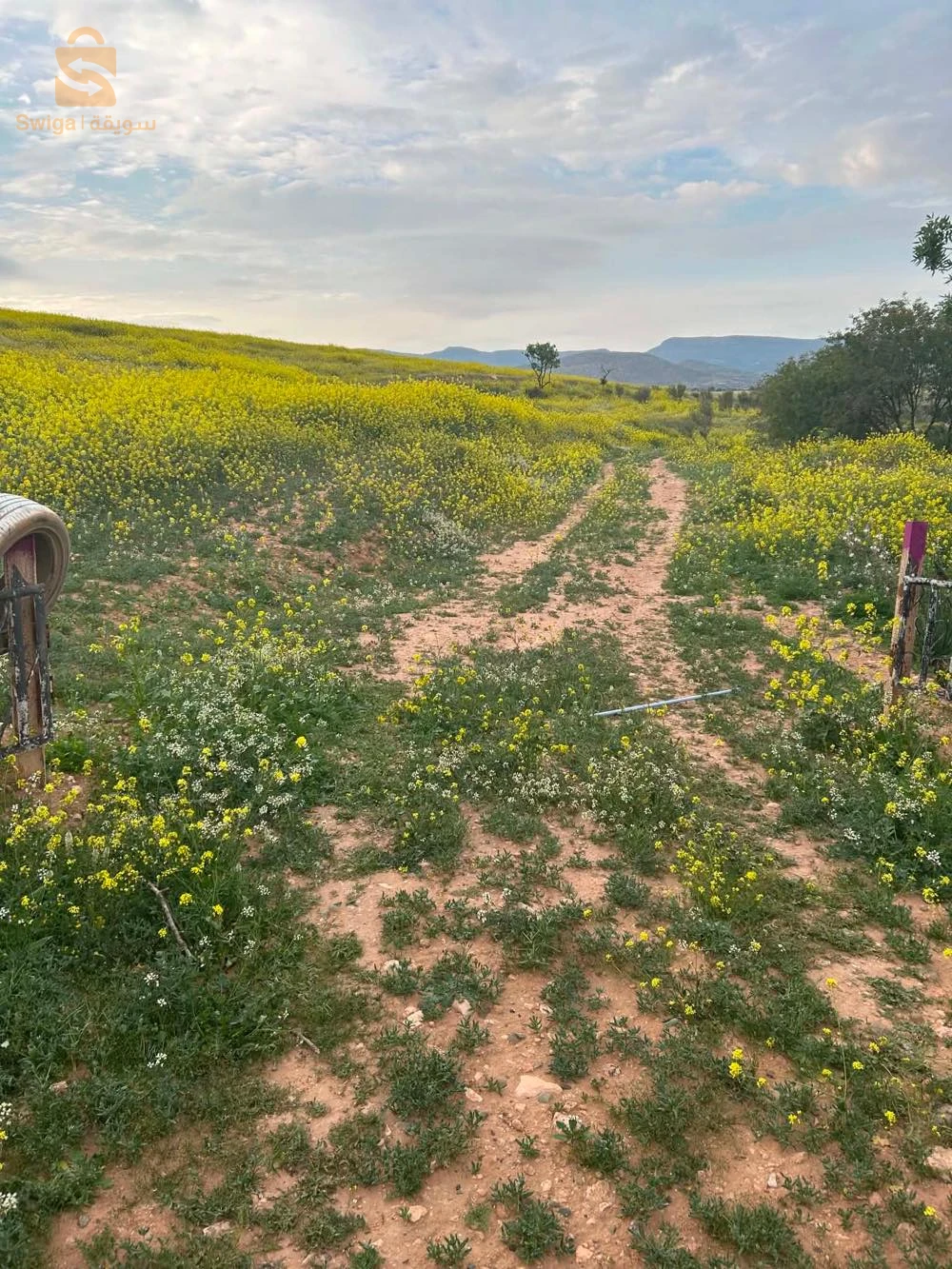terrain agricole
