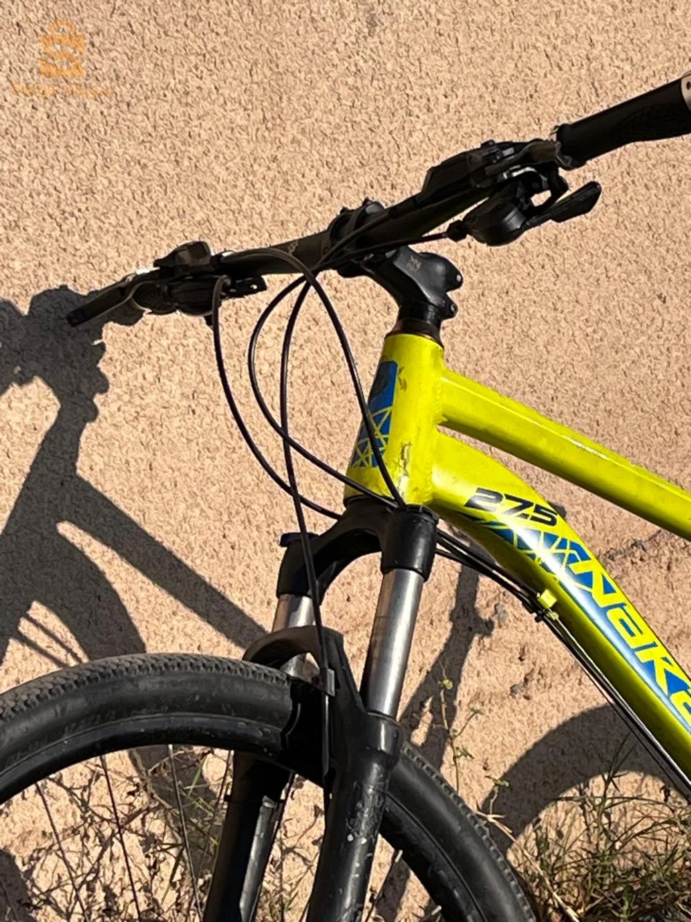 velo nakamora