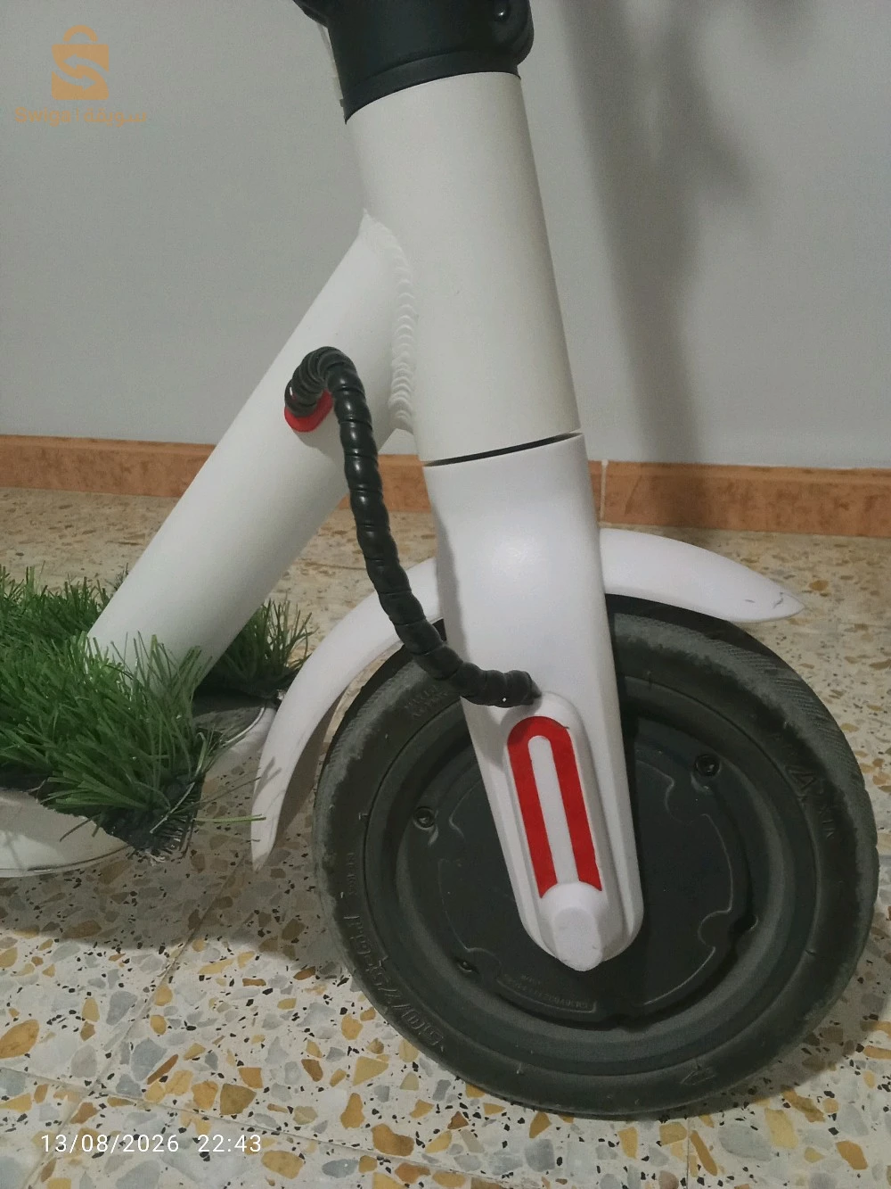 تروتينات للبيع
