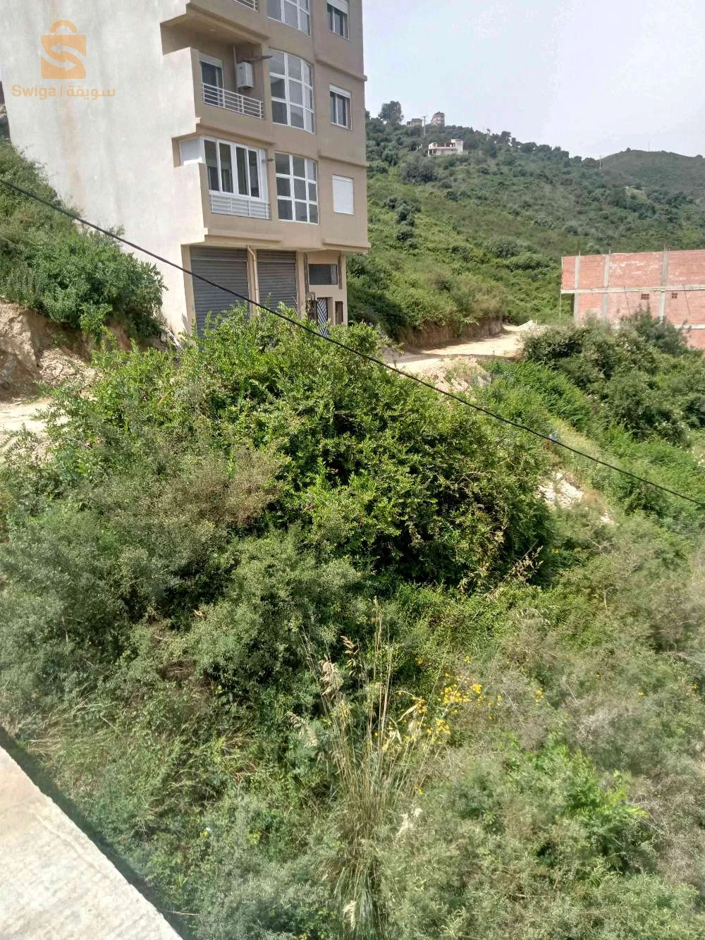 msid lbab bejaia